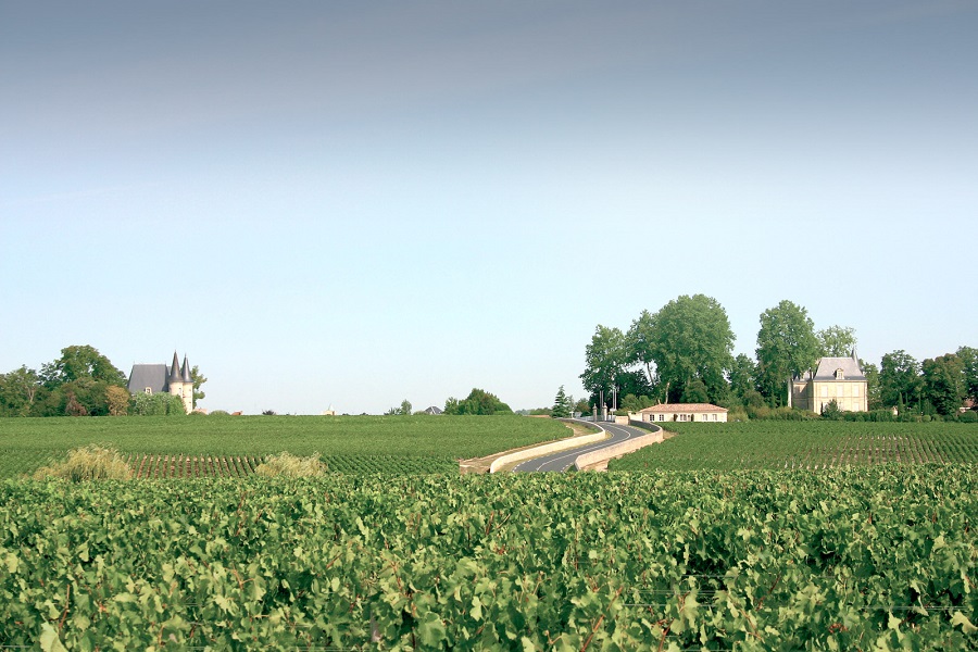 vignobles